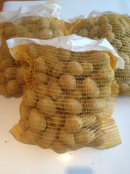 .ZEMIAKY RIVIERA SUPER SKORE 5kg