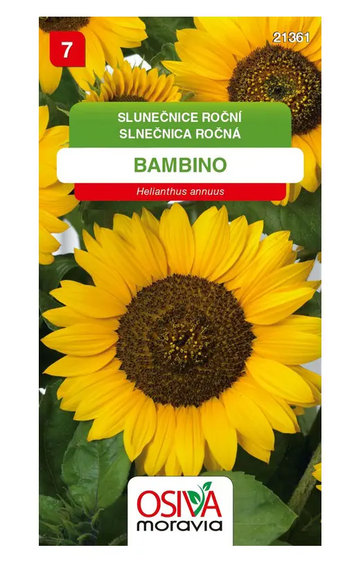 .K-SLNECNICA ROCNA -BAMBINO 0,1g