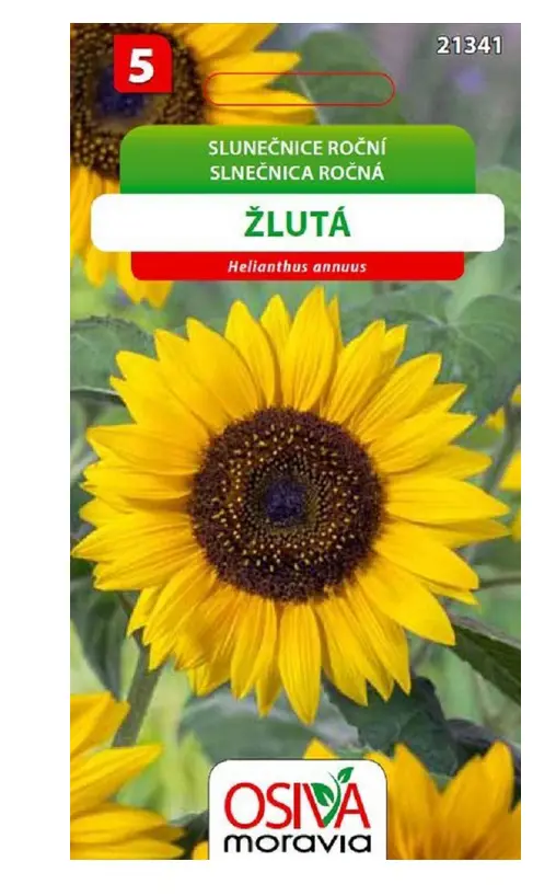 .K-SLNECNICA ROCNA -ZLTA 1g