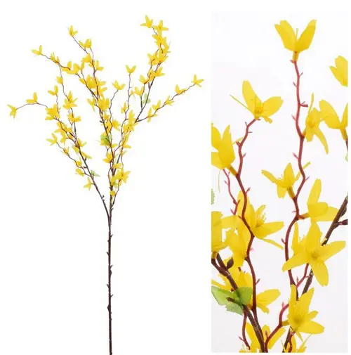 KV.UM.-KONAR ZLATY DAZD 84cm