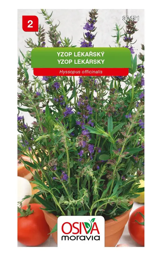 .B-YZOP LEKARSKY -BLANKYT 0,2g