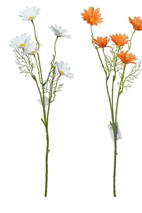 KV.UM.-MARGARETKA 54cm