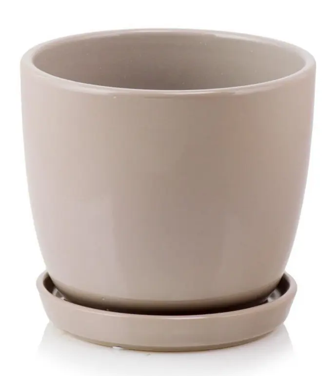 ,KVETINAC AMSTERDAM 20cm -CLEAR SIVY 15.006.20