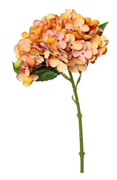 KV.UM.-HORTENZIA KUS 32cm