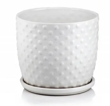 ,KVETINAC AMSTERDAM 20cm -BODK.BIELY 05.429.20