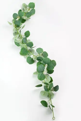 KV.UM.-TAHACKA EUKALYPTUS 120cm