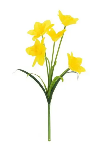 KV.UM.-KYTICA NARCIS 54cm