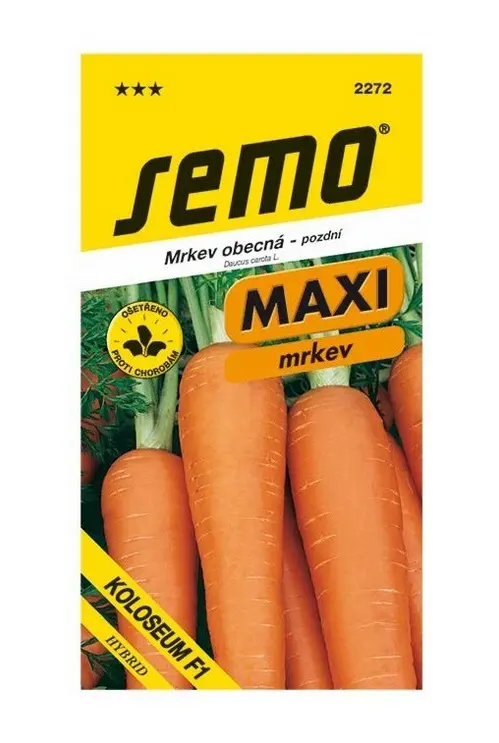 .MRKVA NESKORA - KOLOSEUM F1 S