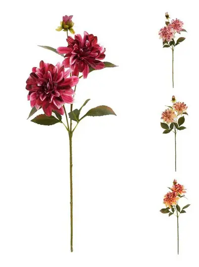 KV.UM.-DALIA ZELEN MIX 4F