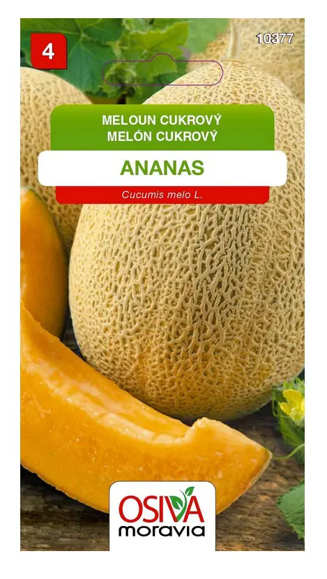 .MELON CUKROVY -ANANAS 0,5g