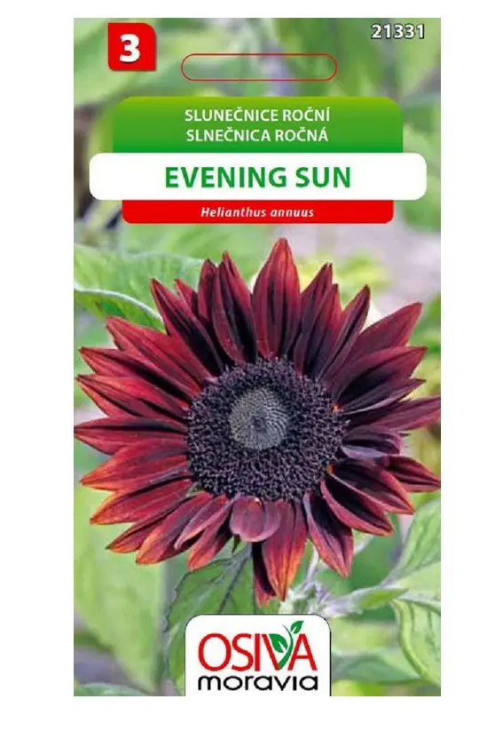 .K-SLNECNICA ROCNA -EVENING SUN 0,8g