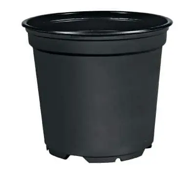 ,ZAKORENOVAC 36cm -CIERNY