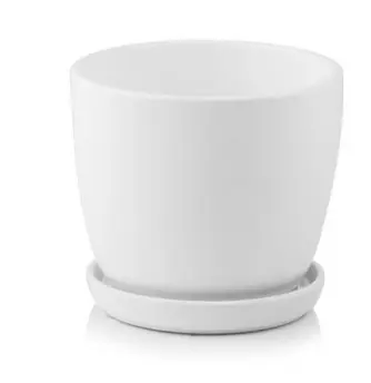 ,KVETINAC AMSTERDAM 20cm -CLEAR BIELY 15.001.20