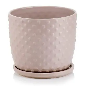 ,KVETINAC AMSTERDAM 20cm -BODKOV.SIVY 05.431.20