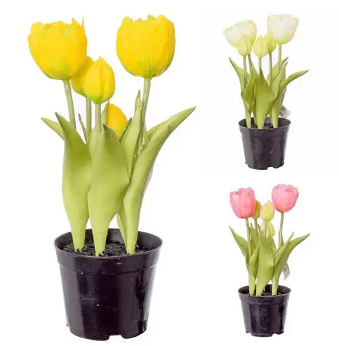 KV.UM.-TULIPAN V CREPNIKU 24cm