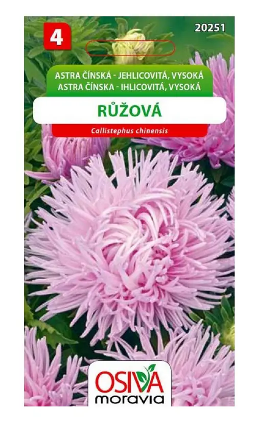 .K-ASTRA CINSKA -IHLIC.RUZOVA 0,5g