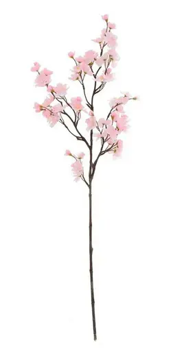 KV.UM.-KONAR CERESNA RUZOVY 78cn