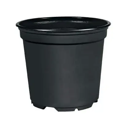 ,ZAKORENOVAC 12cm -CIERNY