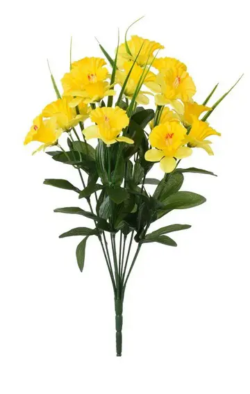 KV.UM.-KYTICA NARCIS x10 44cm